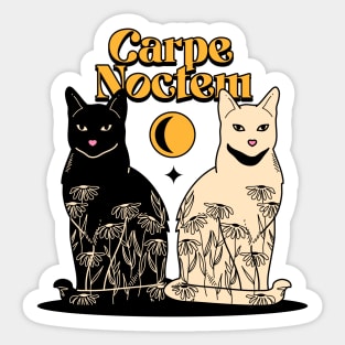 Carpe Noctem Black Cat in blue Sticker